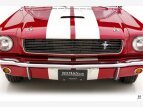 Thumbnail Photo 51 for 1966 Shelby GT350